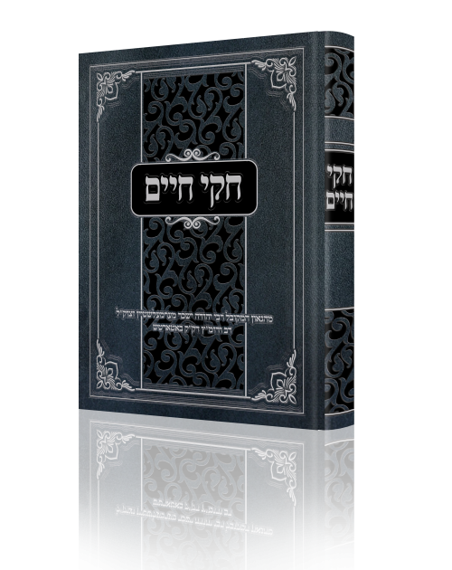 הדמיה לאתר.png