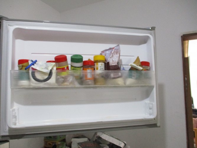 מדף של מקפיא.JPG