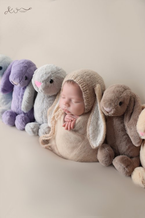 צילום ניו בורן אילה וויג 0548524765 (66).JPG