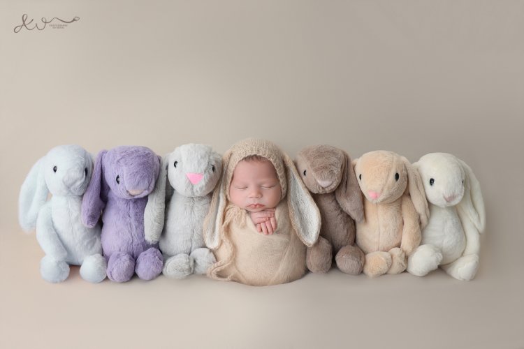 צילום ניו בורן אילה וויג 0548524765 (71).JPG