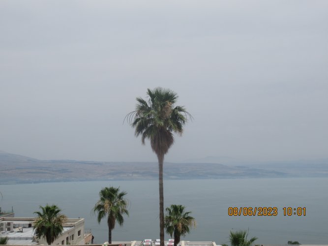 למכירה פראק חדש מידה 50