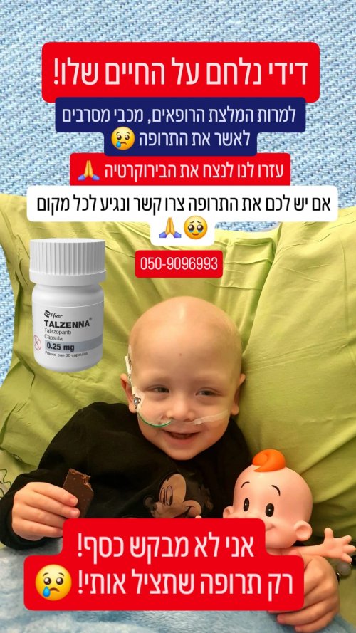 תמונה של WhatsApp_ 2025-04-07 בשעה 02.29.26_6a114ab1 (2).jpg