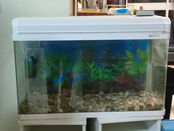 אקוריום מטר בשווי 1000+ רק ב 200 ש"ח בבית שמש!