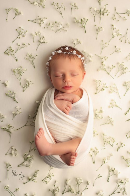 הינדי בלוי צילום 0556752832 (8).jpg