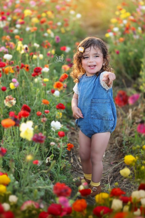 צילום שרה צוקר 0527695445נוריות 1.jpg