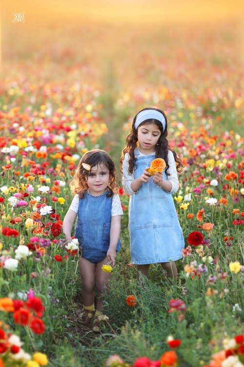 צילום שרה צוקר 0527695445נוריות 1.6.jpg