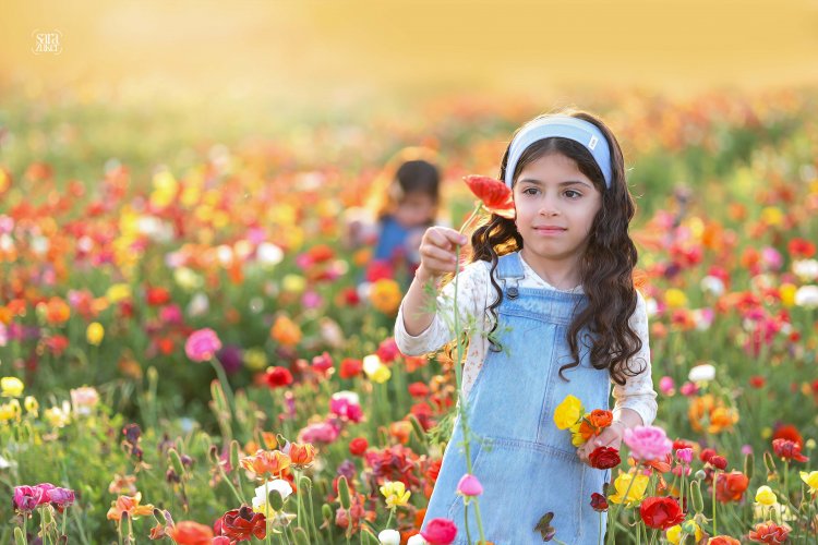 צילום שרה צוקר 0527695445 נוריות.jpg