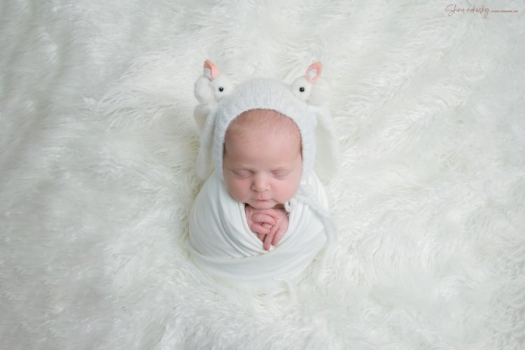 צילום שירה רקובסקי s0548481508 gmail (2).jpg