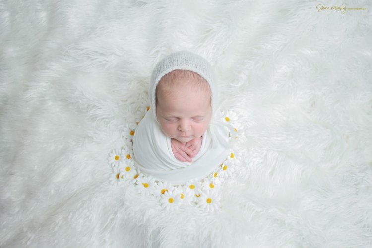 צילום שירה רקובסקי s0548481508 gmail (3).jpg