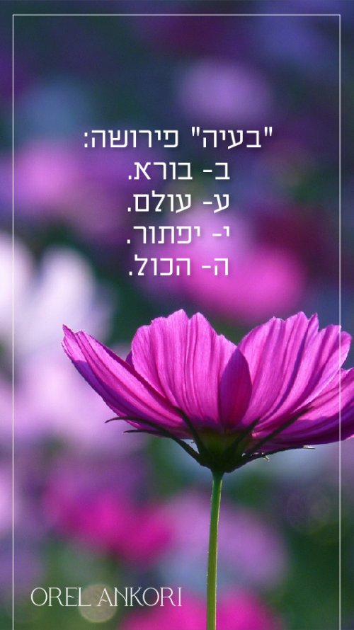 השראה (1)-01.jpg
