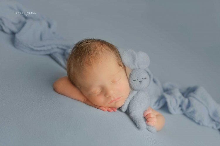 237A1148 copy 2 מוק.jpg