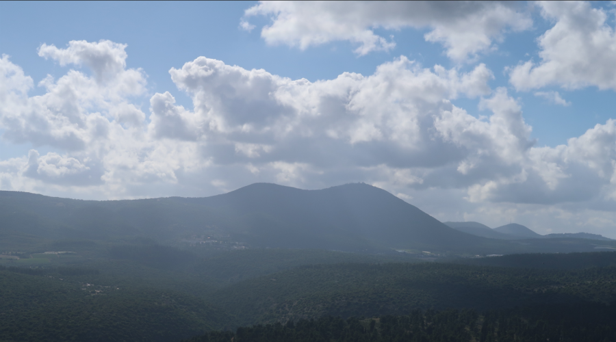 דירה לצפת לשבתות בינהזמנים וכד'