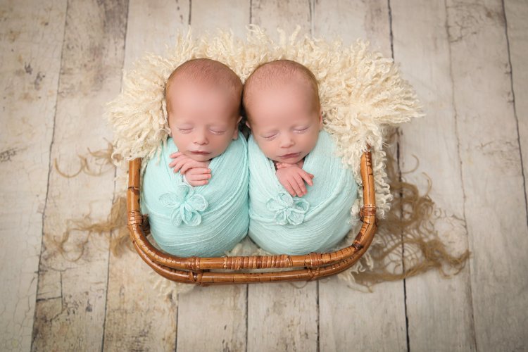 1שולמית הפנר צלמת 0534592402.jpg