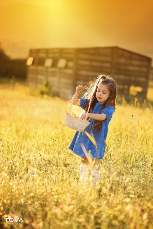 TZ_טובה צויבל 0556749113 _0556 (1).jpg