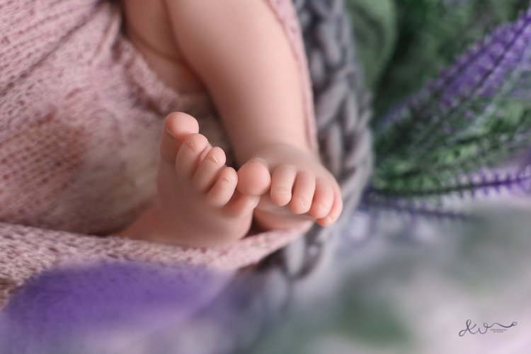 אילה וויג צלמת ניו בורן בבית הלקוח 0548524765 (39).JPG