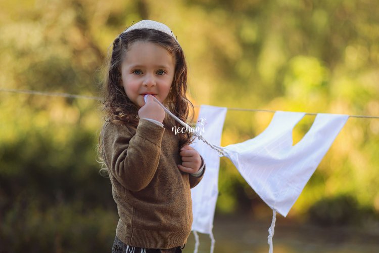 נחמי למברגר 5.jpg