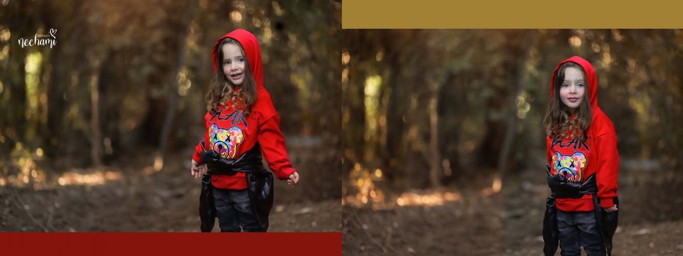 נחמי למברגר 11.jpg