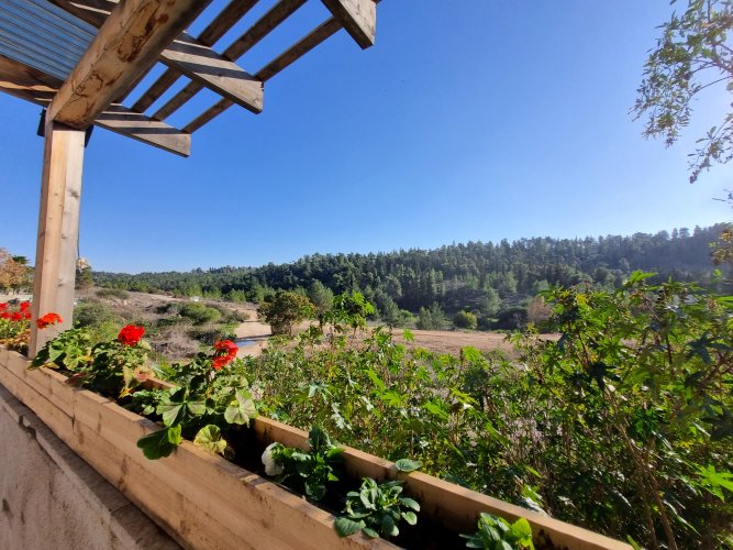 וילת נופש: נופי חשמונאים. - תאריכים אחרונים לבין הזמנים!!