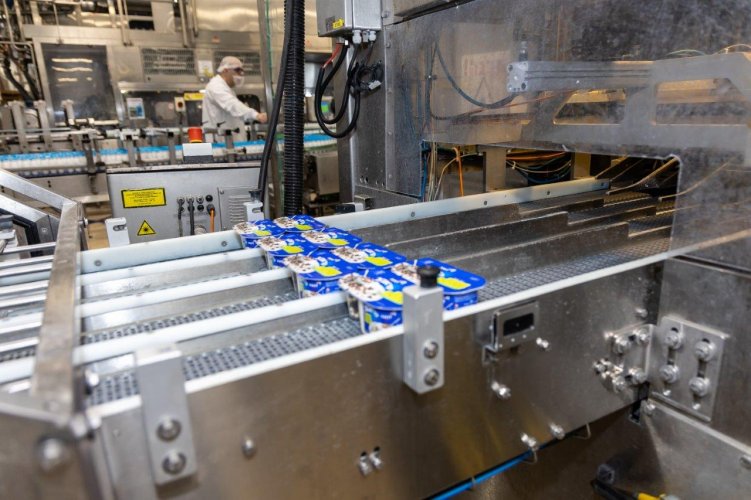 לרגל חג השבועות: הצצה מרתקת אל לב מחלבת שטראוס