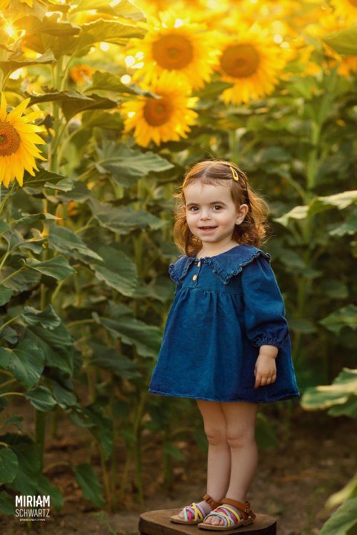 מרים שוורץ 0533170218 (6).jpg מרים שוורץ 0533170218 (6).jpg