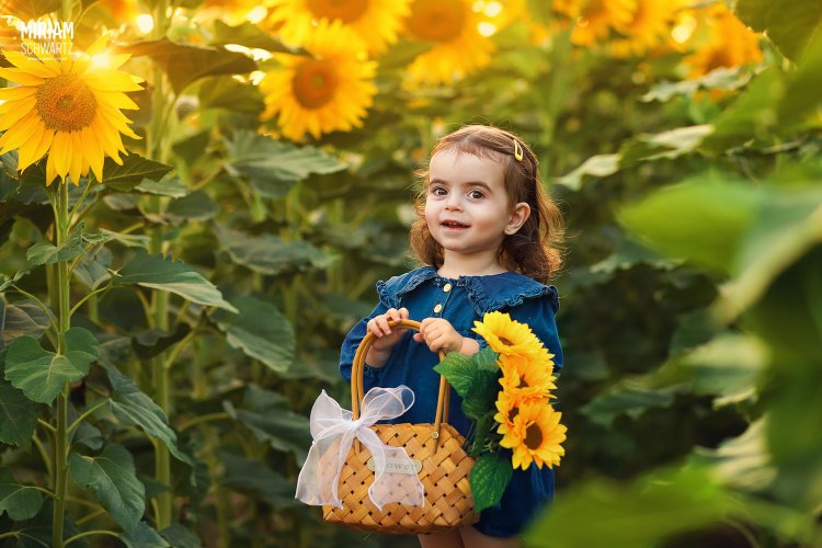 מרים שוורץ 0533170218 (7).jpg מרים שוורץ 0533170218 (7).jpg