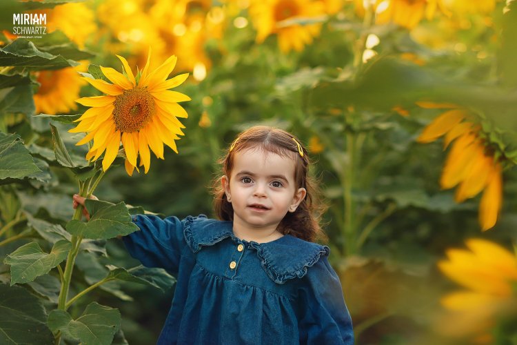 מרים שוורץ 0533170218 (9).jpg מרים שוורץ 0533170218 (9).jpg