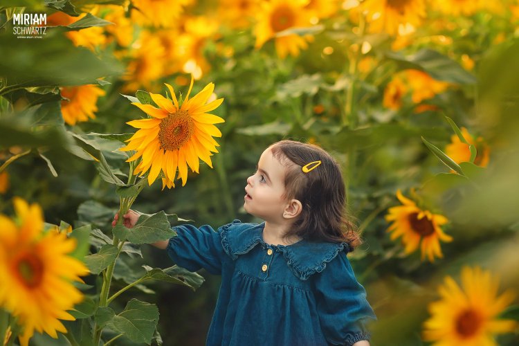 מרים שוורץ 0533170218 (10).jpg מרים שוורץ 0533170218 (10).jpg