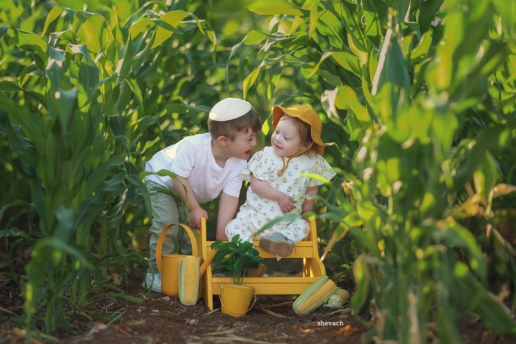 בתשבע חדידה 0533177859 (4).jpg