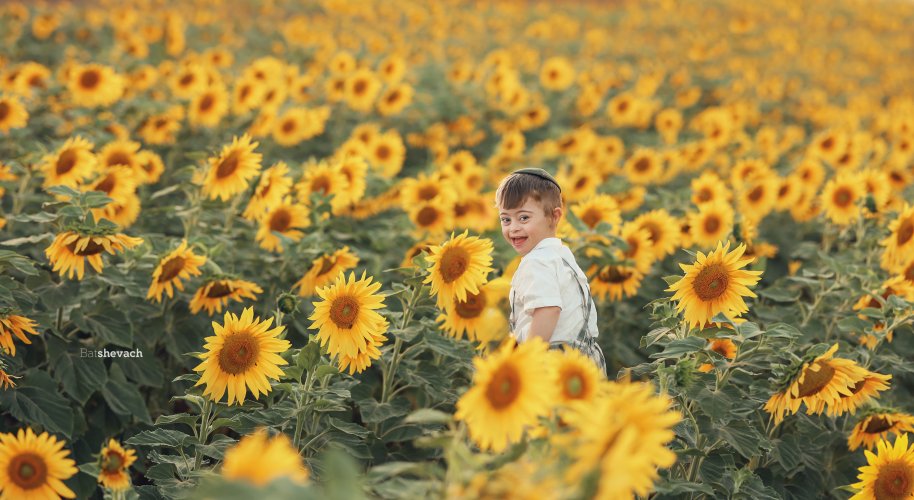 בתשבע חדידה 0533177859 (3).jpg