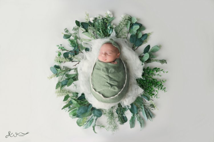 אילה וויג צלמת ניו בורן בבית הלקוח 0548524765 (30).JPG