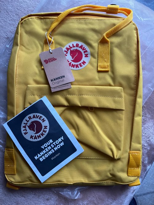 -1104962666-2143657265 (1).jpg