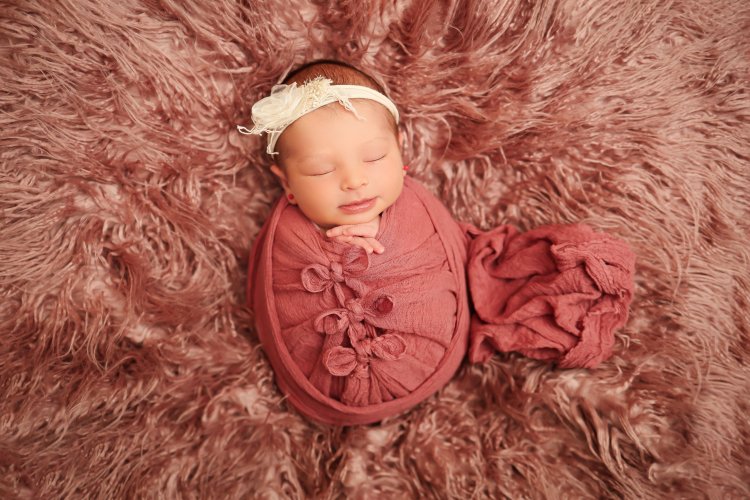 שולמית הפנר צלמת5 0534592402.JPG