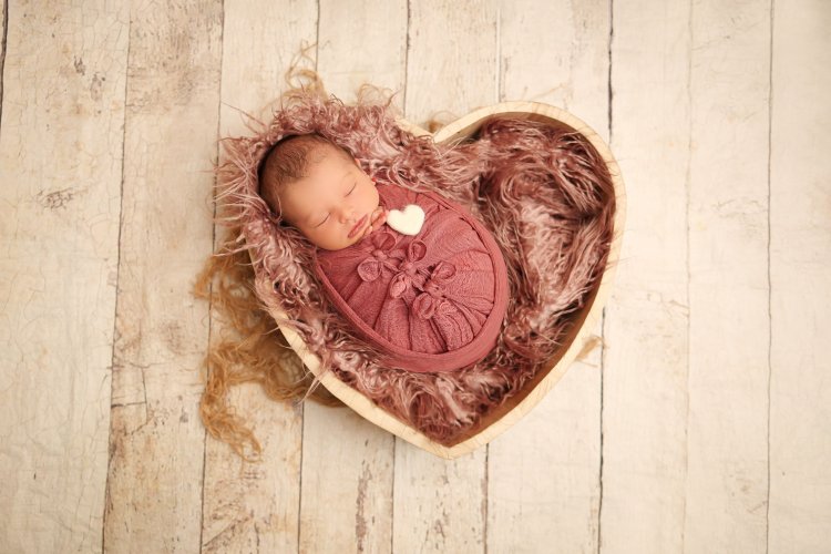 שולמית הפנר צלמת6 0534592402.JPG