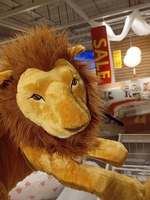 איקאה סייל!