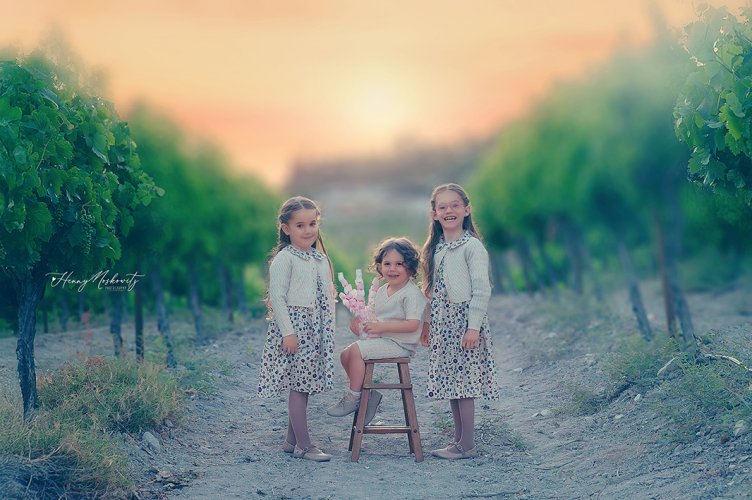 DSC_6052-Enhanced-NR copy.jpg