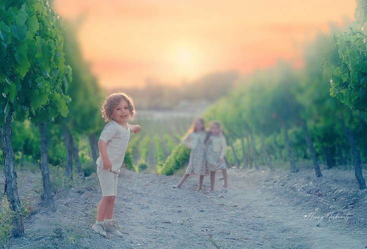 DSC_6108-Enhanced-NR copy.jpg