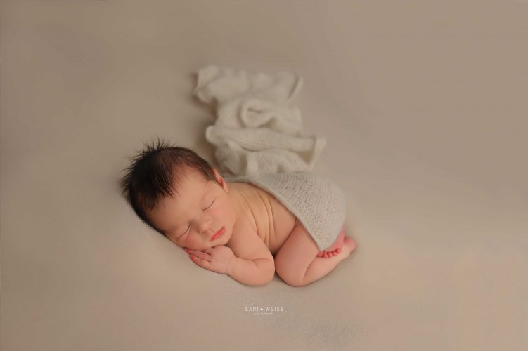 237A2528 copy מוק copy.jpg