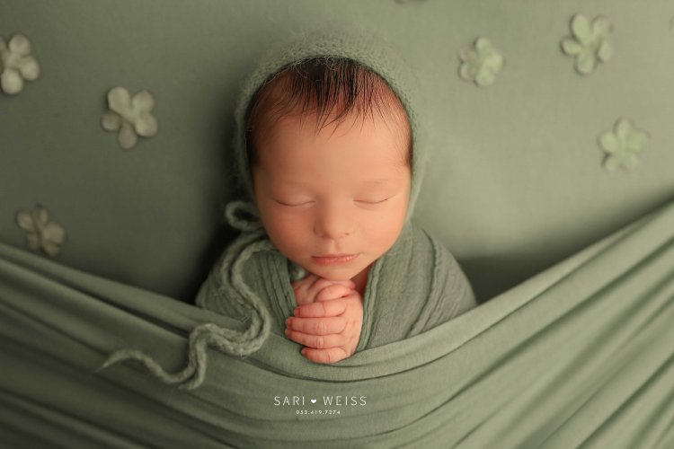 237A2690 copy מוק.jpg