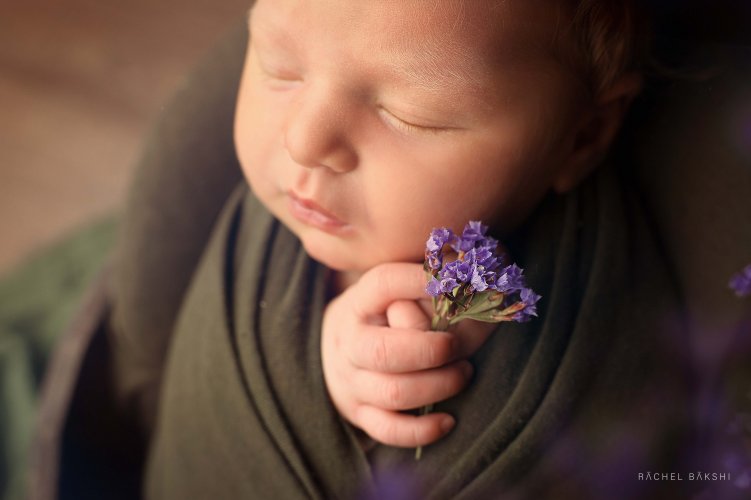 1W8A9815 copyמוקטן.jpg