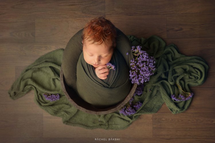 1W8A9829 copyמוקטן.jpg