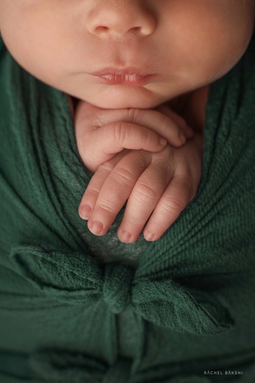 ניו בורן (4) copy.jpg