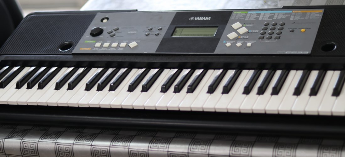 למכירה אורגן ימאהה YAMAHA PSR E233