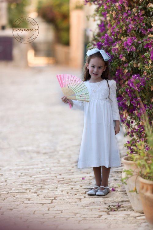 דבורי הרשלר מוקטן 0527143082 (35).jpg