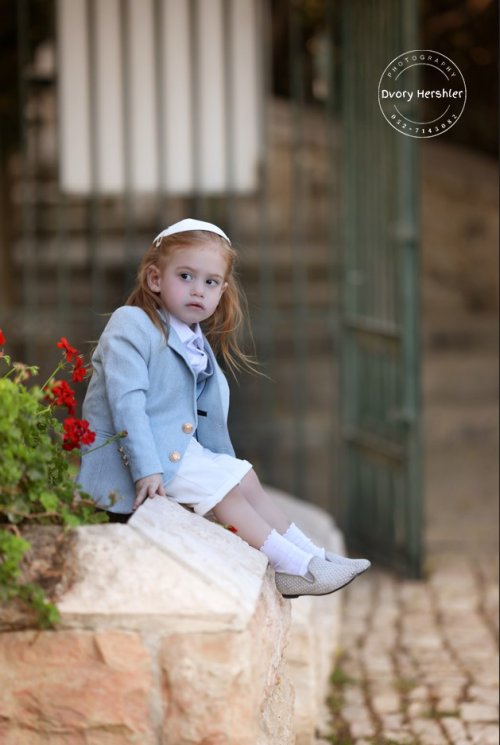 דבורי הרשלר מוקטן 0527143082 (36).jpg