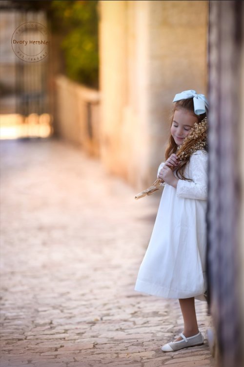 דבורי הרשלר מוקטן 0527143082 (39).jpg