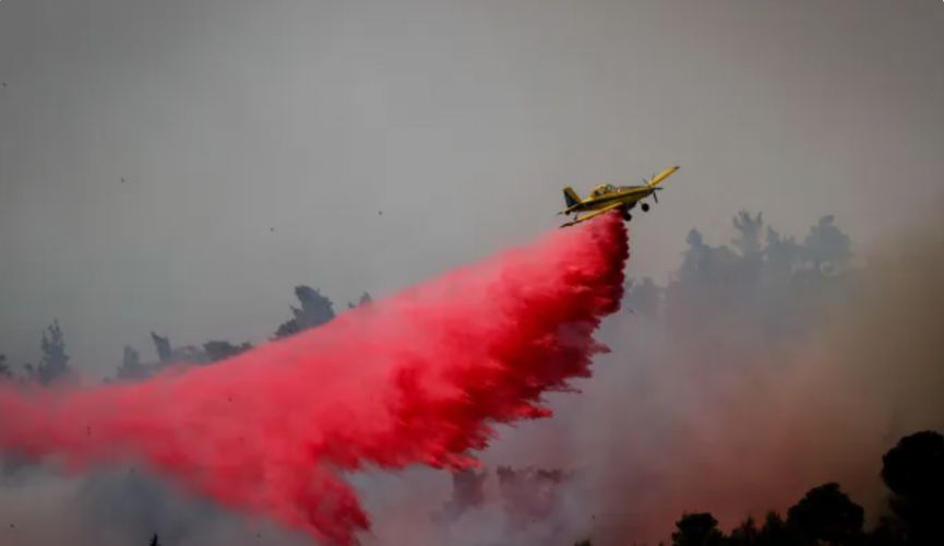 צילום מסך 2025-07-25 001529.png