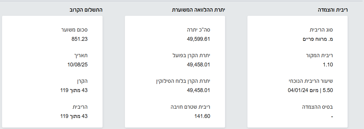 דוח הלוואה.png