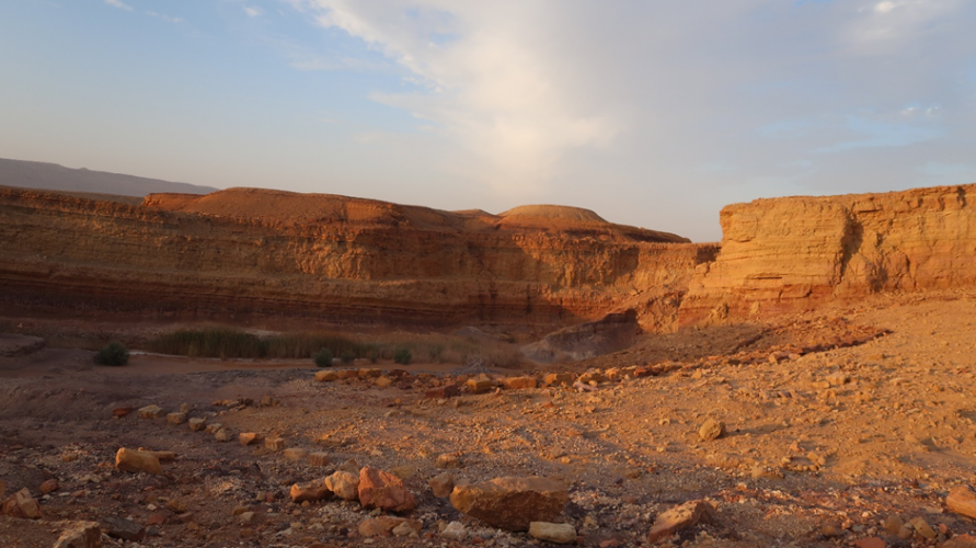 חופשה מדברית-חוויות מנופש משפחתי במדבר