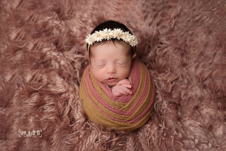 שולמית הפנר צלמת3 0534592402.JPG