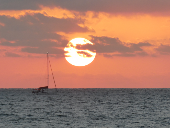 צילום מסך 2025-08-07 132227.png